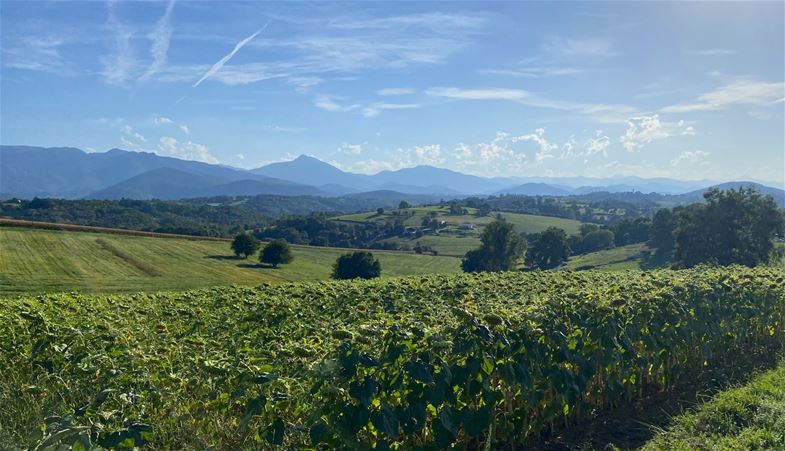 Los Pirineos a la vista. Por su belleza, Josef quisiera volver a verlos una vez más.